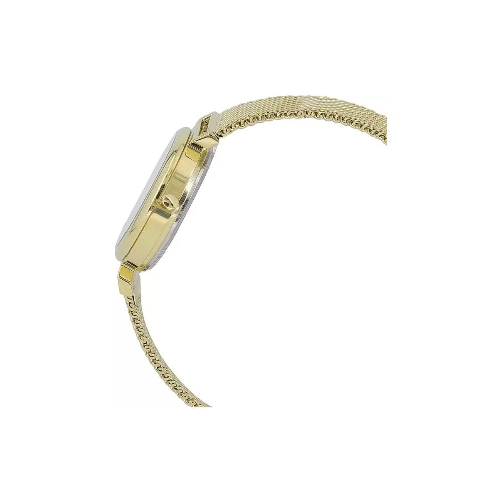 WW2780 Casio Standard Ladies Mesh Chain Watch LTP-2023VMG-7CDR