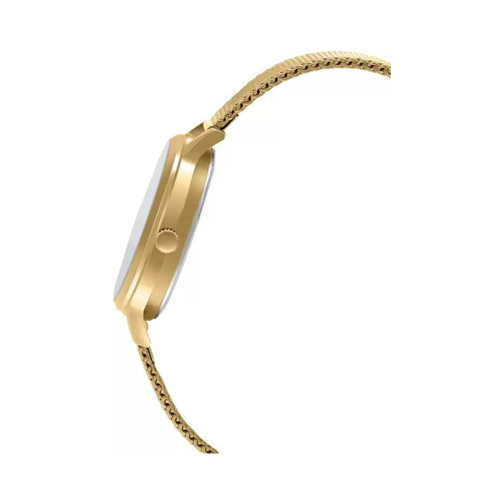 WW2793 Casio Standard Ladies Mesh Chain Watch LTP-E157MG-3ADF