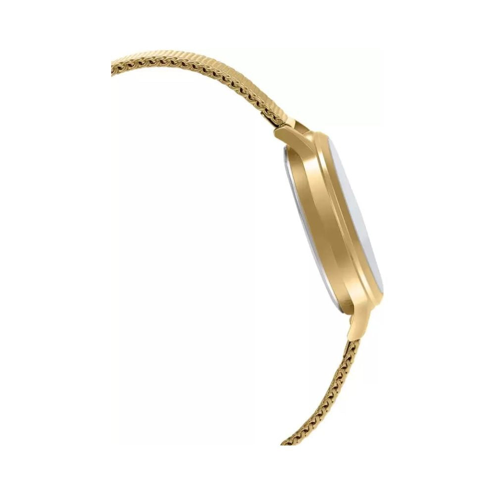 WW2794 Casio Standard Ladies Mesh Chain Watch LTP-E157MG-9ADF