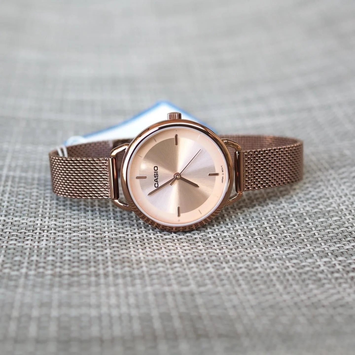 WW2802 Casio Standard Ladies Mesh Chain Watch LTP-E413MR-9ADF