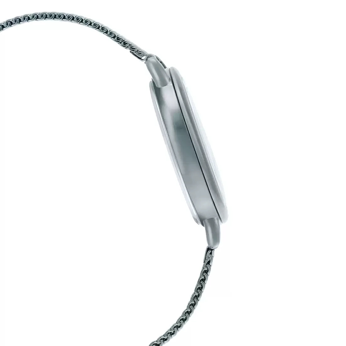 WW2807 Casio Standard Ladies Mesh Chain Watch LTP-E415M-7CDF