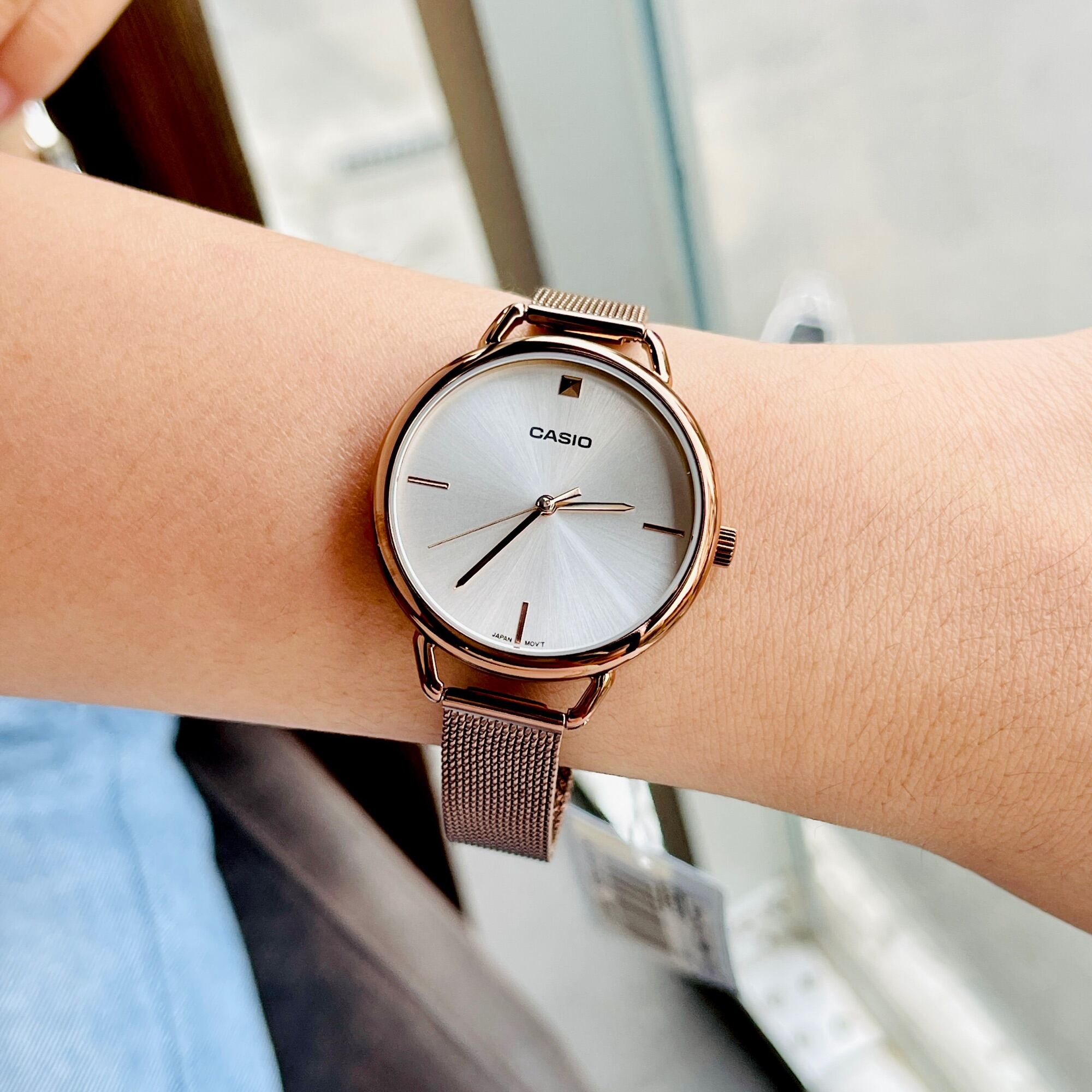 WW2809 Casio Standard Ladies Mesh Chain Watch LTP-E415MR-7CDF