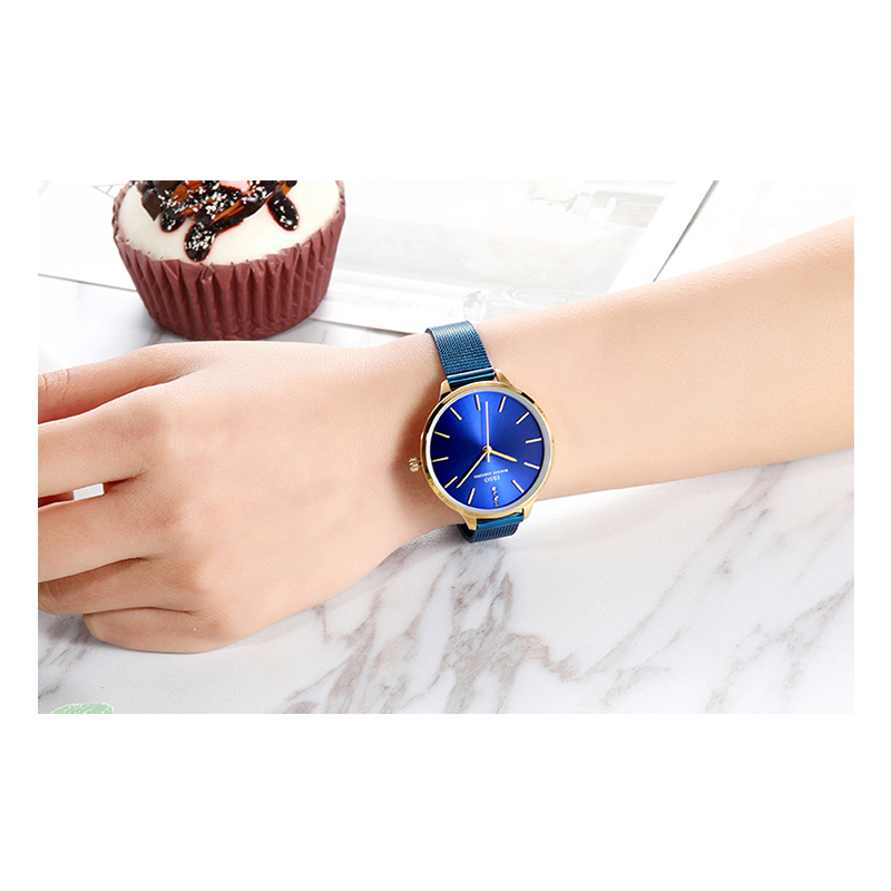 WW0073 IBSO Ladies Mesh Chain Watch