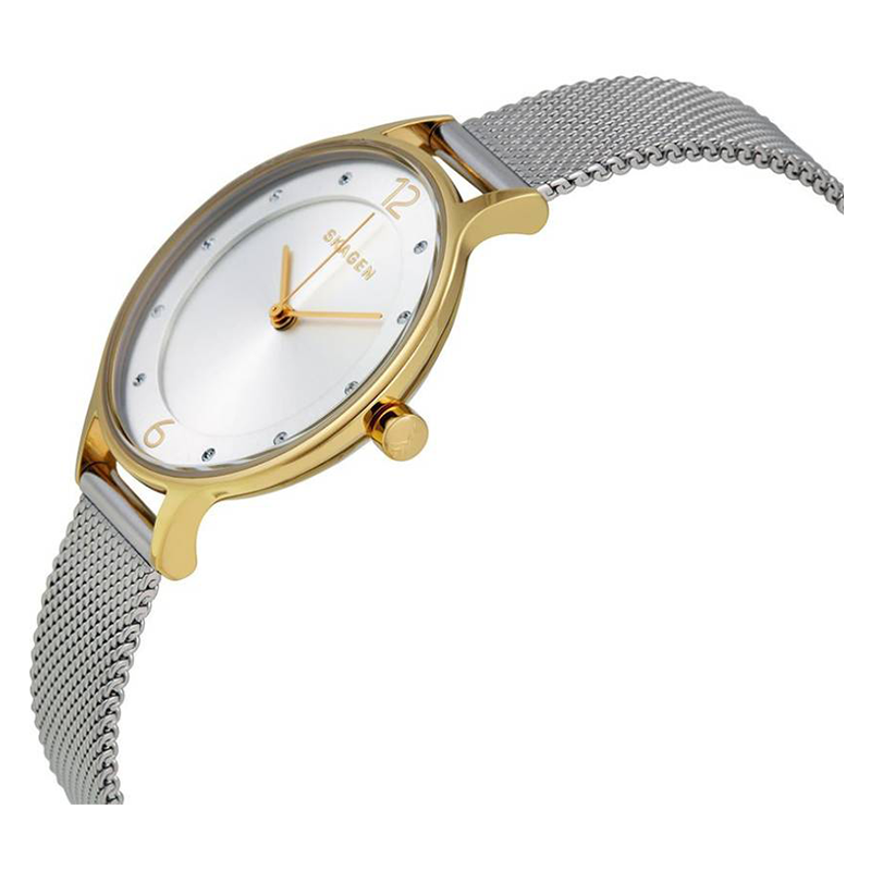 WW0131 Skagen Anita Ladies Mesh Chain Watch SKW2340