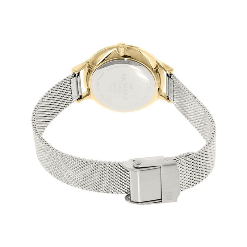 WW0131 Skagen Anita Ladies Mesh Chain Watch SKW2340