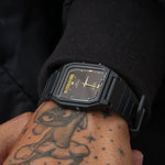 Casio AW-48H-1AVDF Watch