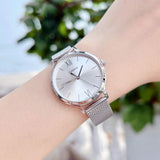WW2792 Casio Standard Ladies Mesh Chain Watch LTP-E157M-7ADF