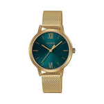 Casio LTP-E157MG-3ADF Watch