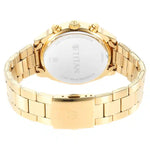 Titan 1733YM01 Watch