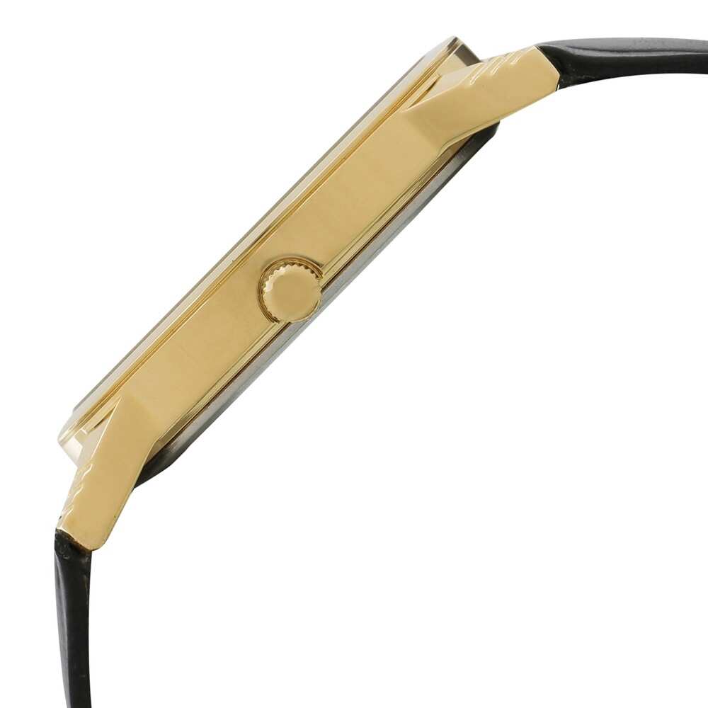 Titan 1774YL01 Watch