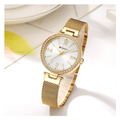 WW0193 Curren Ladies Mesh Chain Watch