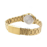 WW1349 Casio Standard Day Date Golden Ladies Chain Watch LTP-V006G-7BUDF