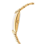 WW0510 Titan Chain Watch 1927