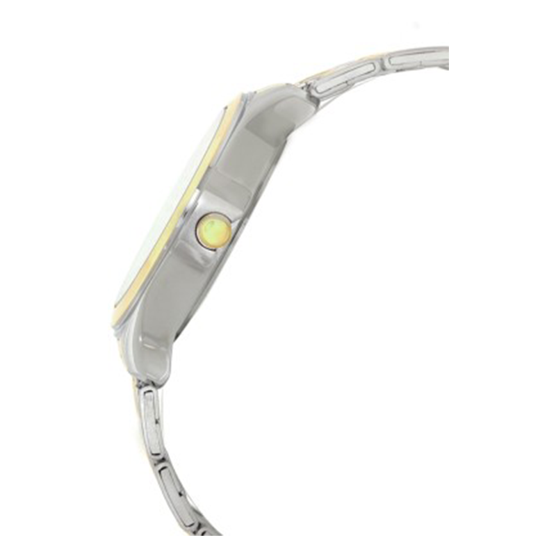 WW0515 Original Titan Chain Watch NH1627