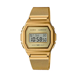 Casio A1000MG-9EF Watch