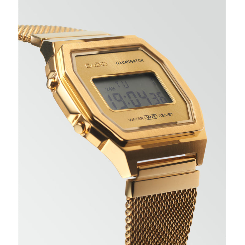 Casio A1000MG-9EF Watch