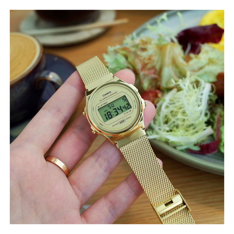 Casio 2025 mesh watch