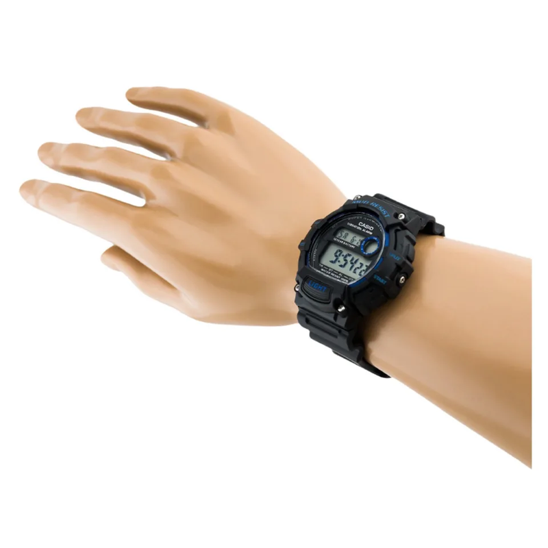 Casio TRT-110H-2AVCF Watch