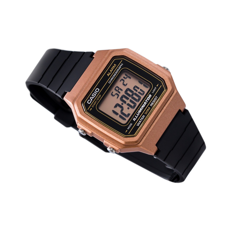 Casio alarm chrono 24 2025 hour