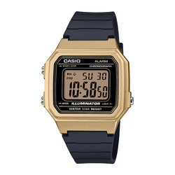 Casio W-217HM-9AVDF Watch
