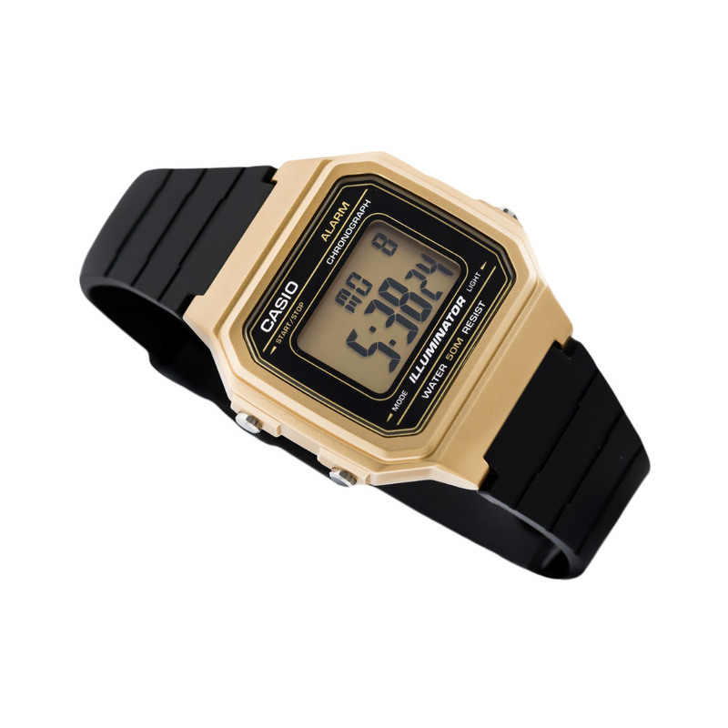 Casio W-217HM-9AVDF Watch